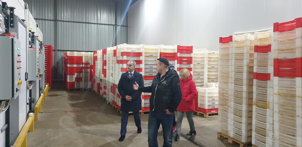 Нариман Абдулмуталибов ознакомился с работой рыбного предприятия ООО «Союзрыбпром»